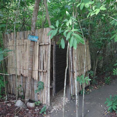 Eco-Camping Mango Feliz Rincon Del Mar San Onofre Exterior photo
