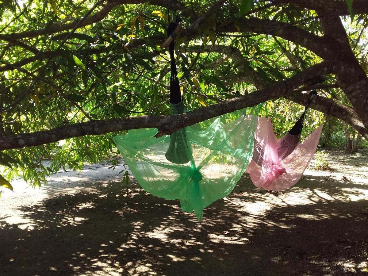 Eco-Camping Mango Feliz Rincon Del Mar San Onofre Exterior photo
