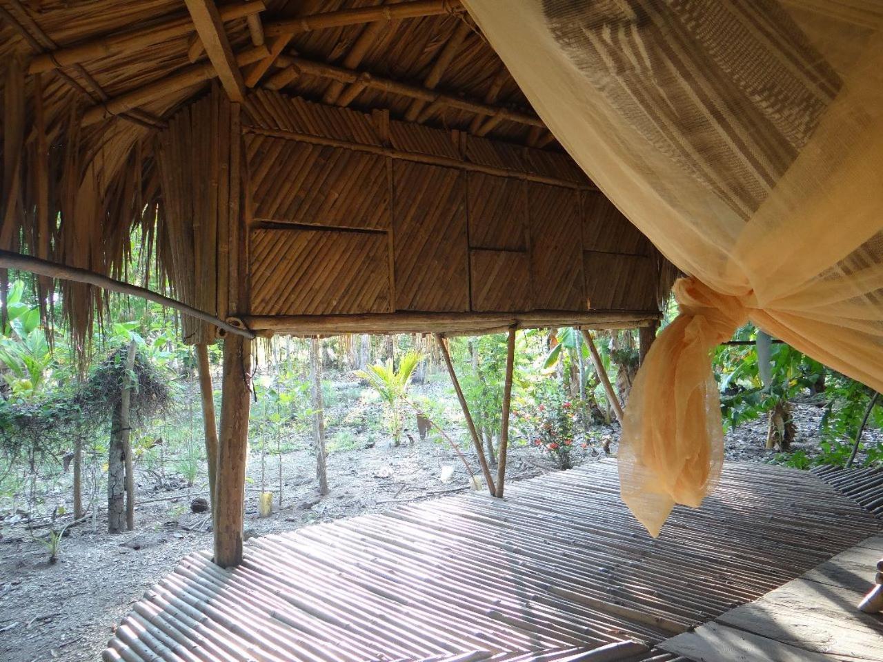 Eco-Camping Mango Feliz Rincon Del Mar San Onofre Exterior photo