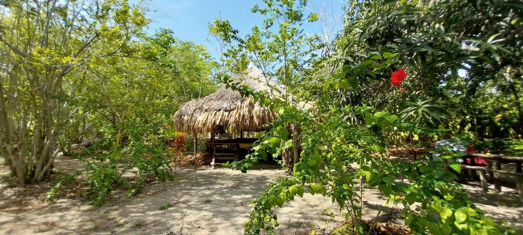 Eco-Camping Mango Feliz Rincon Del Mar San Onofre Exterior photo