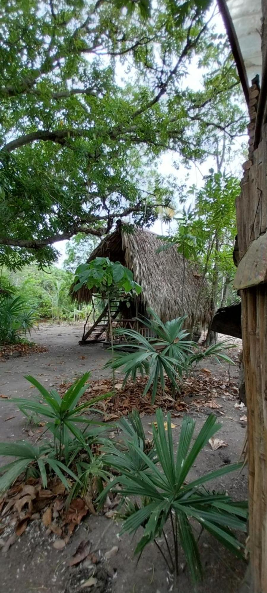 Eco-Camping Mango Feliz Rincon Del Mar San Onofre Exterior photo